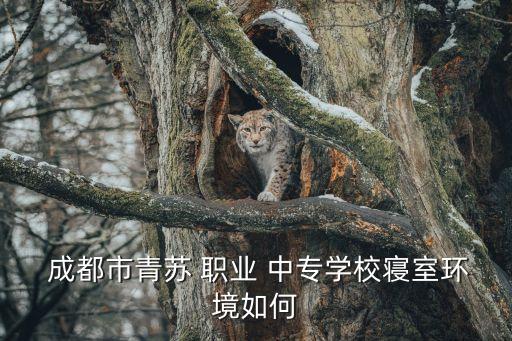  成都市青苏 职业 中专学校寝室环境如何