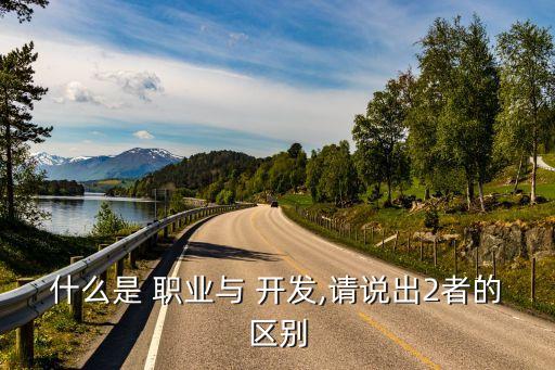什么是 职业与 开发,请说出2者的区别