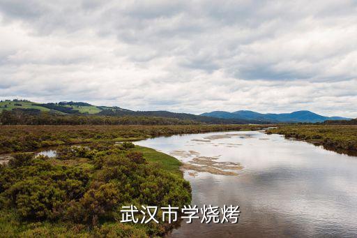  武汉市学烧烤