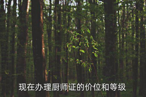 现在办理厨师证的价位和等级
