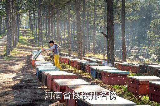  河南省技校排名榜