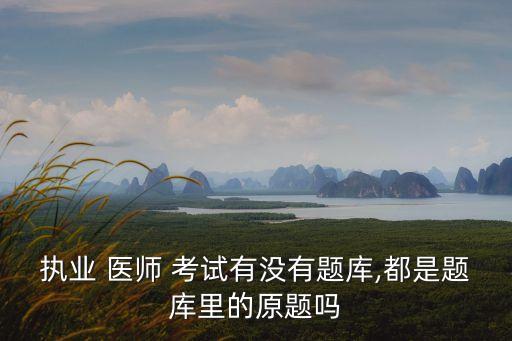 执业 医师 考试有没有题库,都是题库里的原题吗