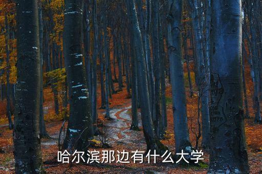 黑龙江林业职业学院函授