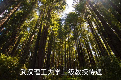 武汉理工大学职业测评