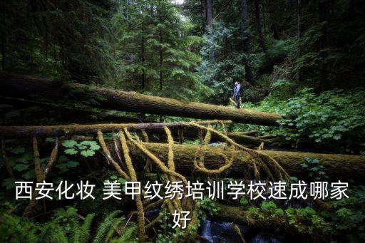 西安化妆 美甲纹绣培训学校速成哪家好