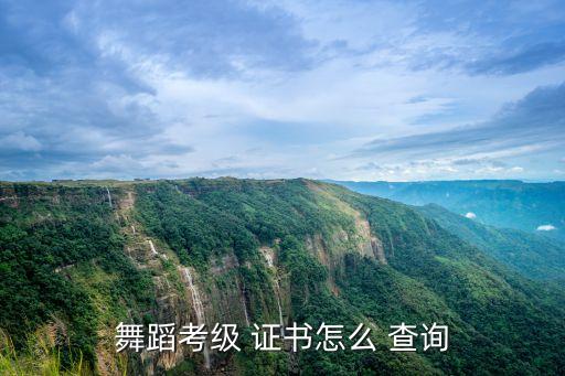 舞蹈考级 证书怎么 查询