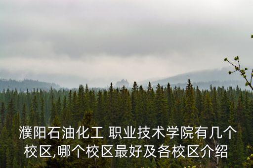  濮阳石油化工 职业技术学院有几个校区,哪个校区最好及各校区介绍
