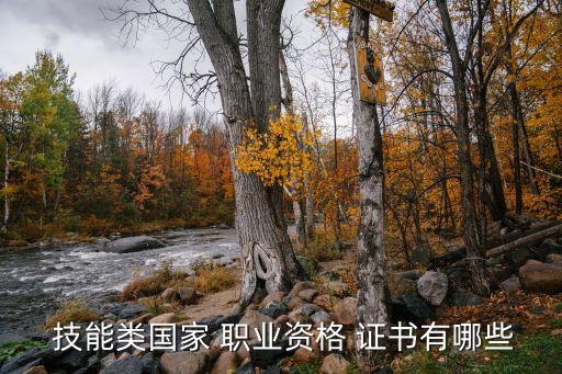  技能类国家 职业资格 证书有哪些