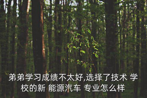 职业学校新能源专业好不好