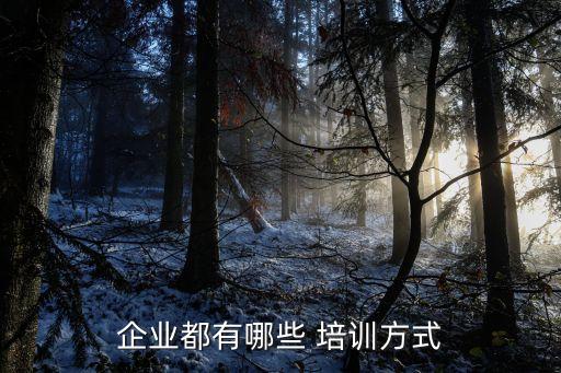 企业都有哪些 培训方式