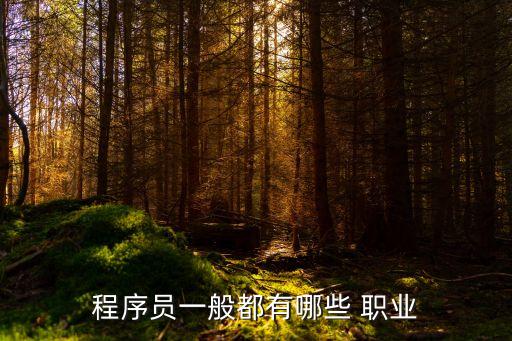 职业开发的类型有那些