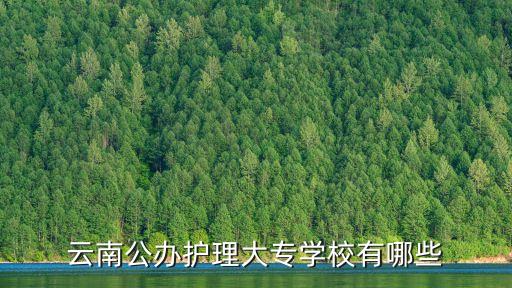 云南公办护理大专学校有哪些