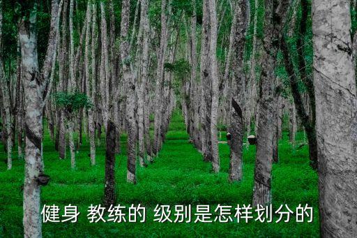 健身 教练的 级别是怎样划分的
