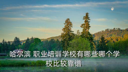  哈尔滨 职业培训学校有哪些哪个学校比较靠谱