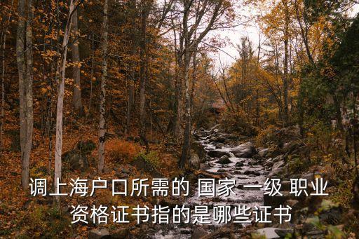 调上海户口所需的 国家 一级 职业 资格证书指的是哪些证书