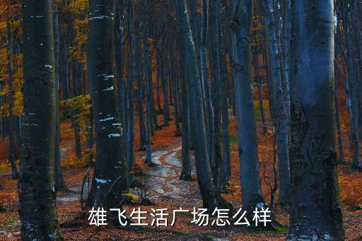 雄飞生活广场怎么样