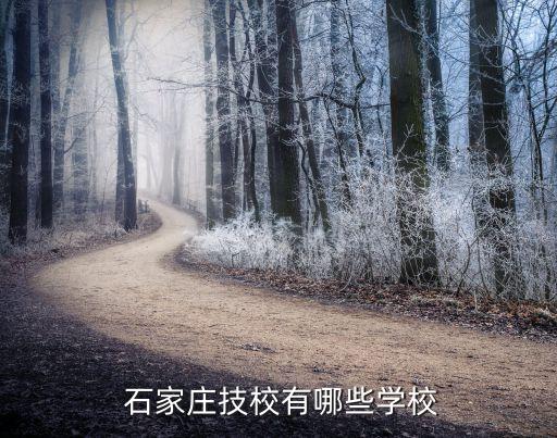 石家庄师卓职业培训