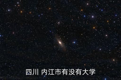 四川 内江市有没有大学