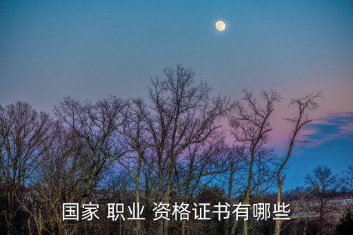 国家 职业 资格证书有哪些