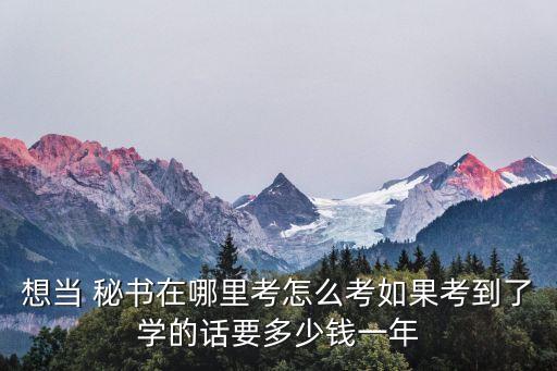 想当 秘书在哪里考怎么考如果考到了学的话要多少钱一年