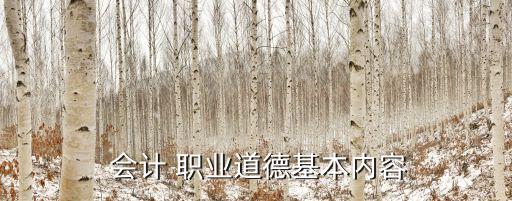  会计 职业道德基本内容