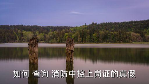 如何 查询 消防中控上岗证的真假