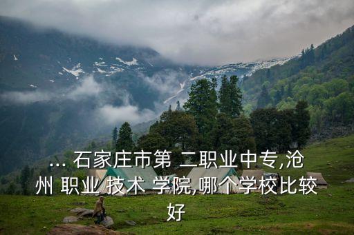 ... 石家庄市第 二职业中专,沧州 职业 技术 学院,哪个学校比较好