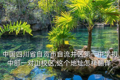中国四川省自贡市自流井区第一中学初中部一对山校区,这个地址怎样翻译...