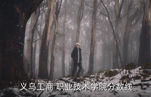  义乌工商 职业技术学院分数线