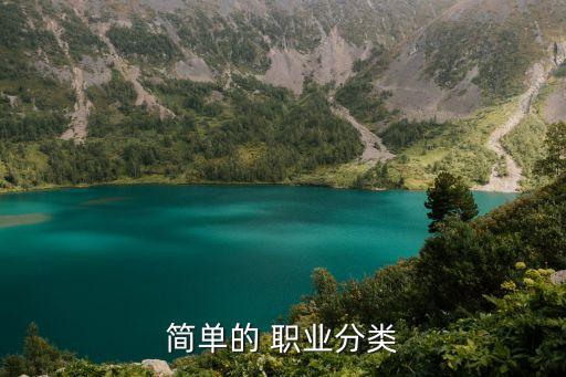 简单的 职业分类