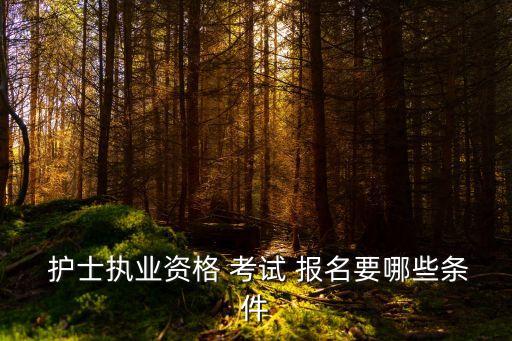  护士执业资格 考试 报名要哪些条件