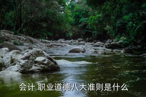  会计 职业道德八大准则是什么