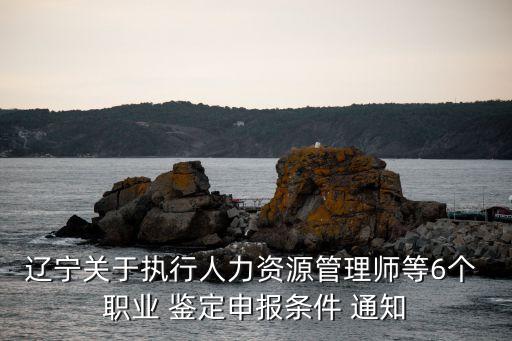 辽宁关于执行人力资源管理师等6个 职业 鉴定申报条件 通知