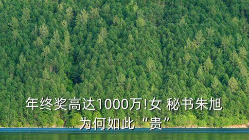 年终奖高达1000万!女 秘书朱旭为何如此“贵”