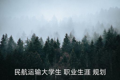 民航运输大学生 职业生涯 规划