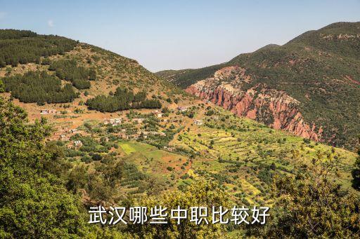 武汉哪些中职比较好