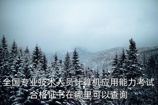全国专业技术人员计算机应用能力考试合格证书在哪里可以查询
