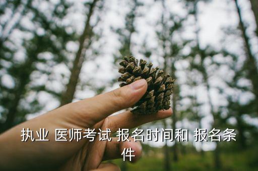 执业 医师考试 报名时间和 报名条件