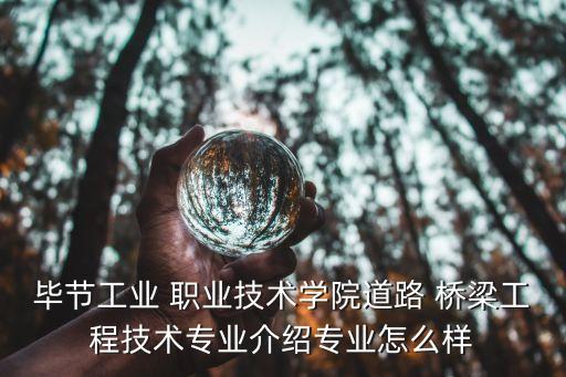 桥梁工职业资格证书查询,化学检验工职业资格证书查询