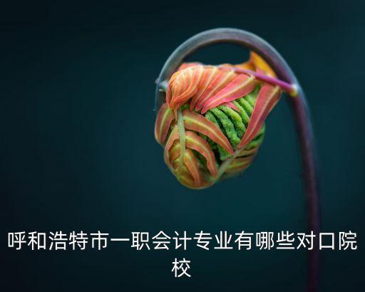呼和浩特市一职会计专业有哪些对口院校