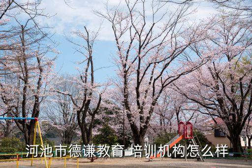  河池市德谦教育 培训机构怎么样