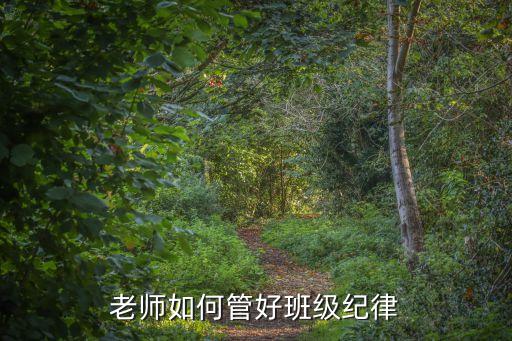 老师如何管好班级纪律