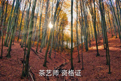 茶艺师 资格证