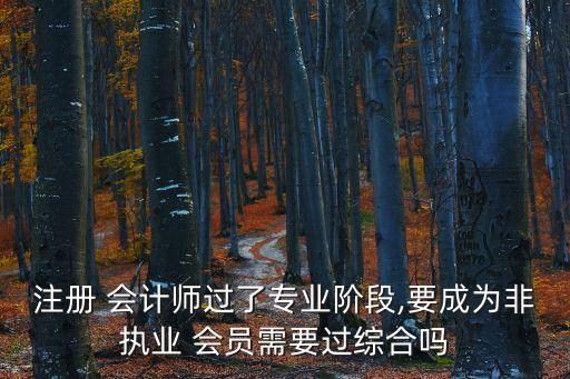 注册 会计师过了专业阶段,要成为非执业 会员需要过综合吗