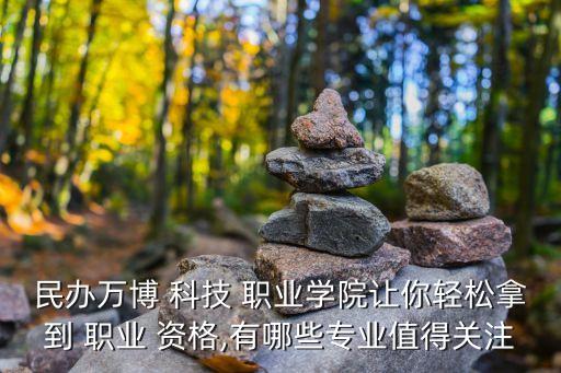 民办万博 科技 职业学院让你轻松拿到 职业 资格,有哪些专业值得关注