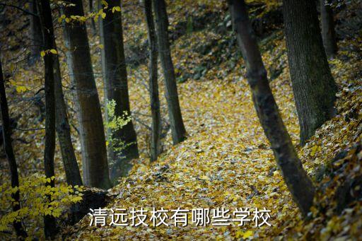 清远技校有哪些学校