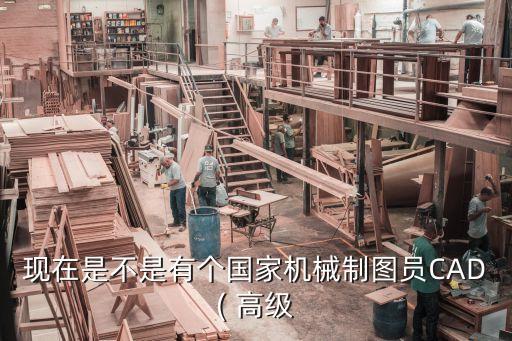 职业高级认证,QQ职业选手认证代码