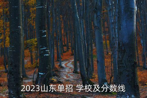 2023山东单招 学校及分数线