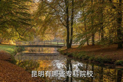 昆明电脑职业培训学校,昆明大有职业培训学校的证书有效吗