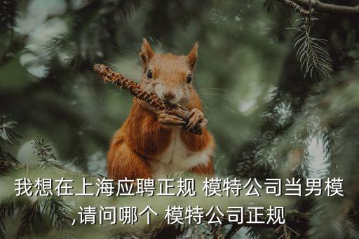 我想在上海应聘正规 模特公司当男模,请问哪个 模特公司正规